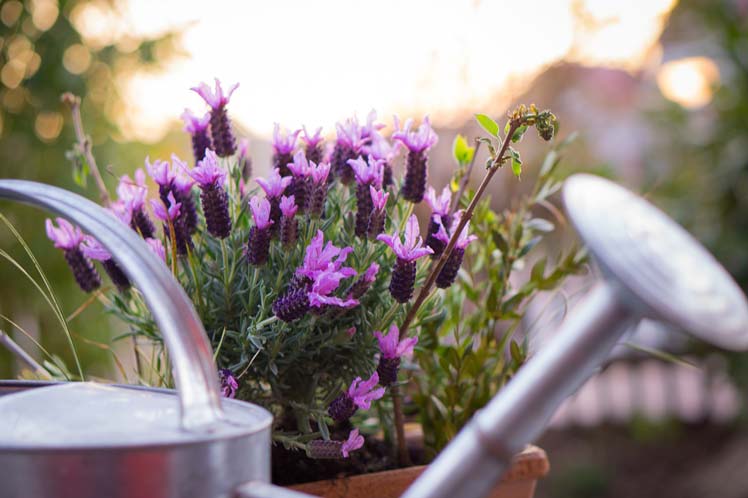 Tuinmeubels